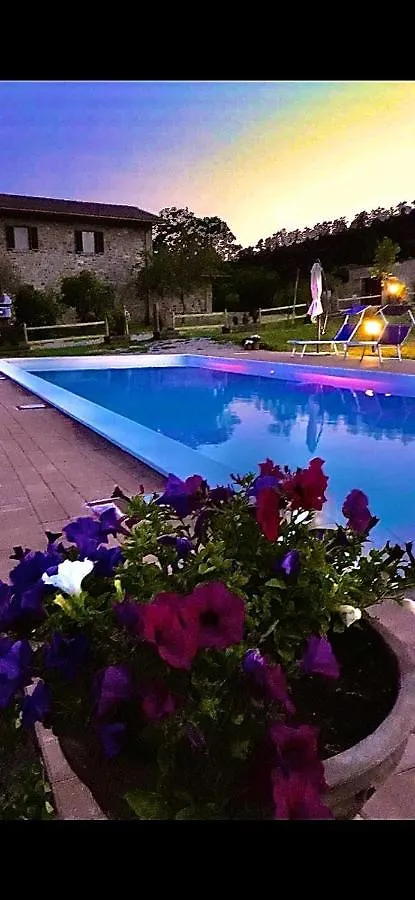 Agriturismo Vista Sole Villa Mercatale   Mercatale (Arezzo)